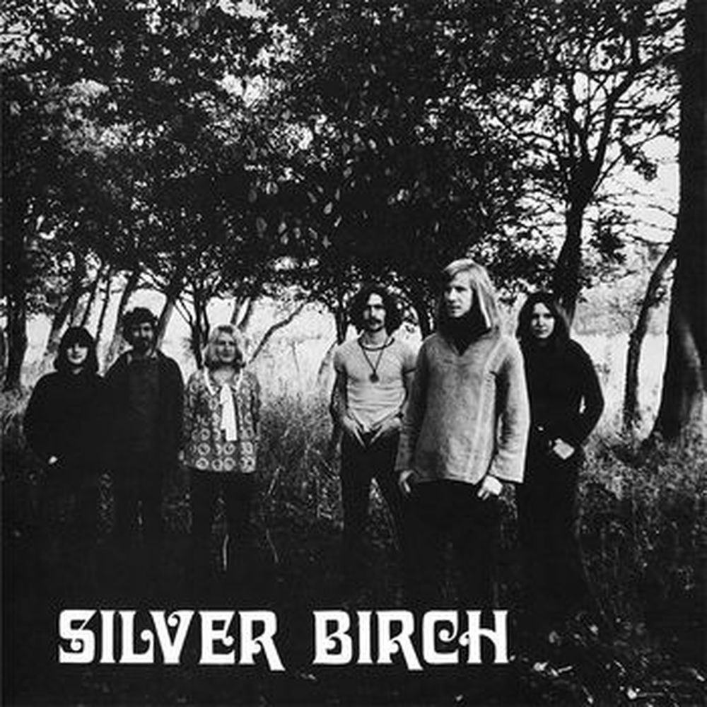 silver birch