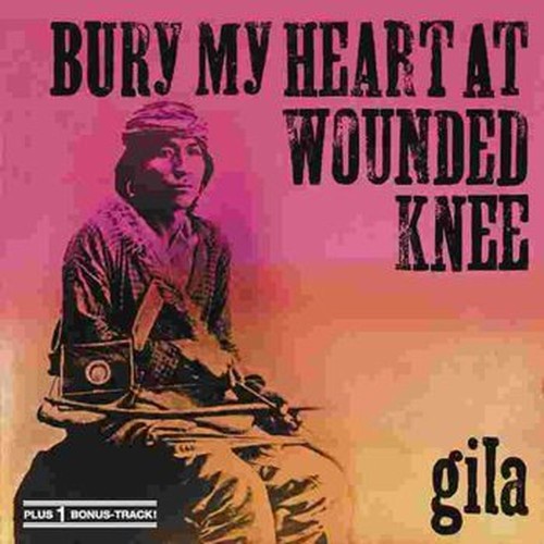 bury my heart at wounded knee