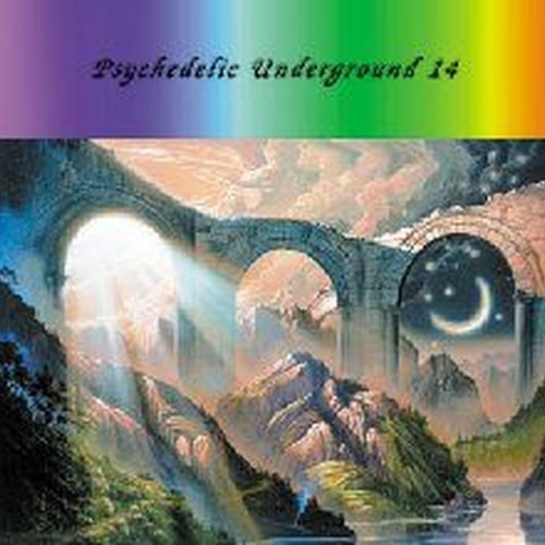 psychedelic underground 14