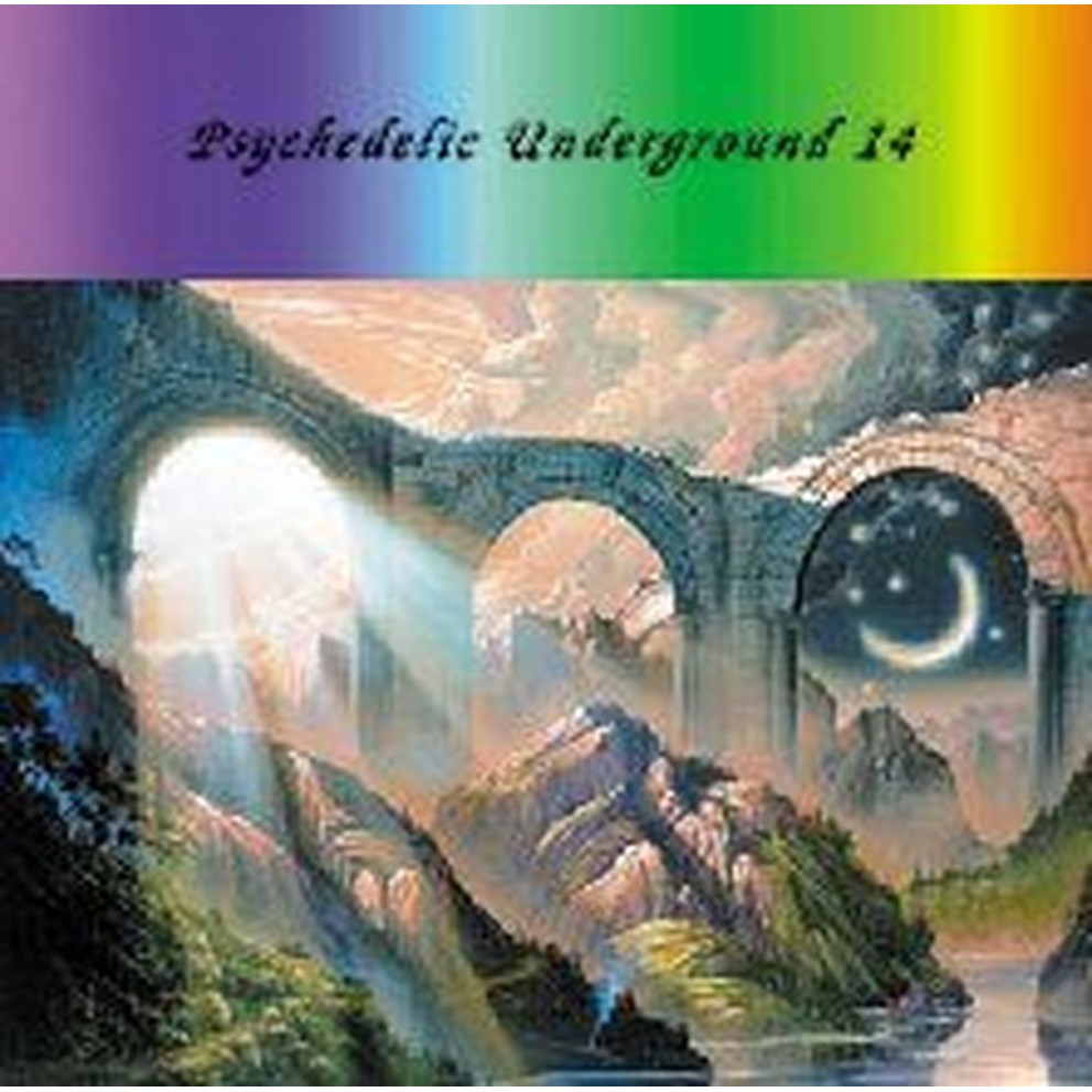 psychedelic underground 14