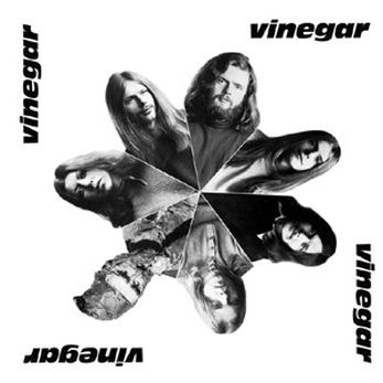 vinegar (+book)