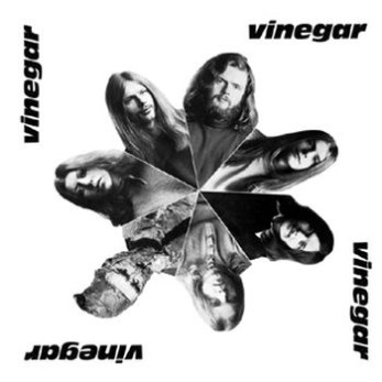vinegar (+book)
