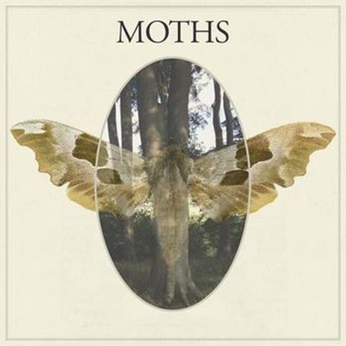 moths