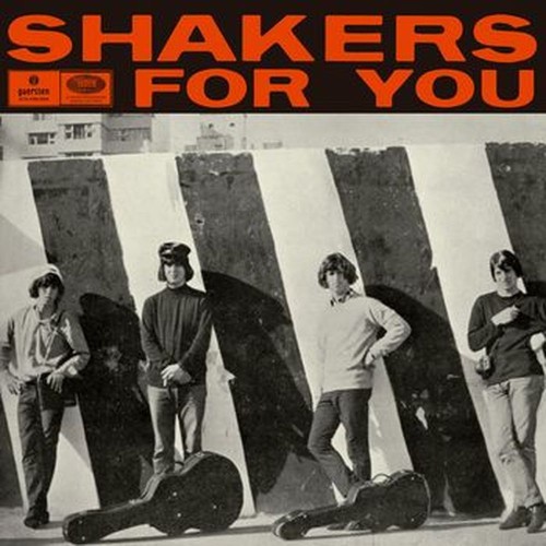shakers for you