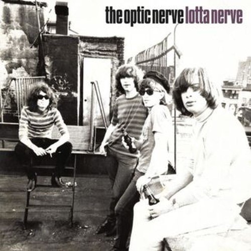 lotta nerve