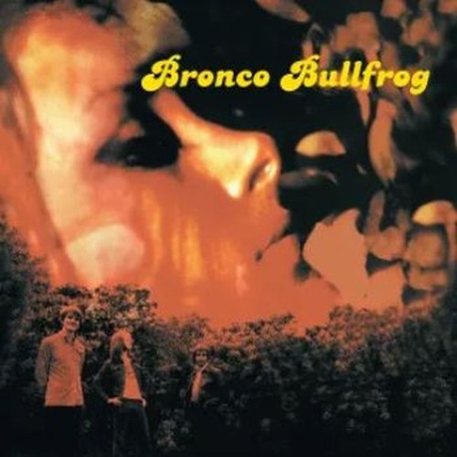 bronco bullfrog