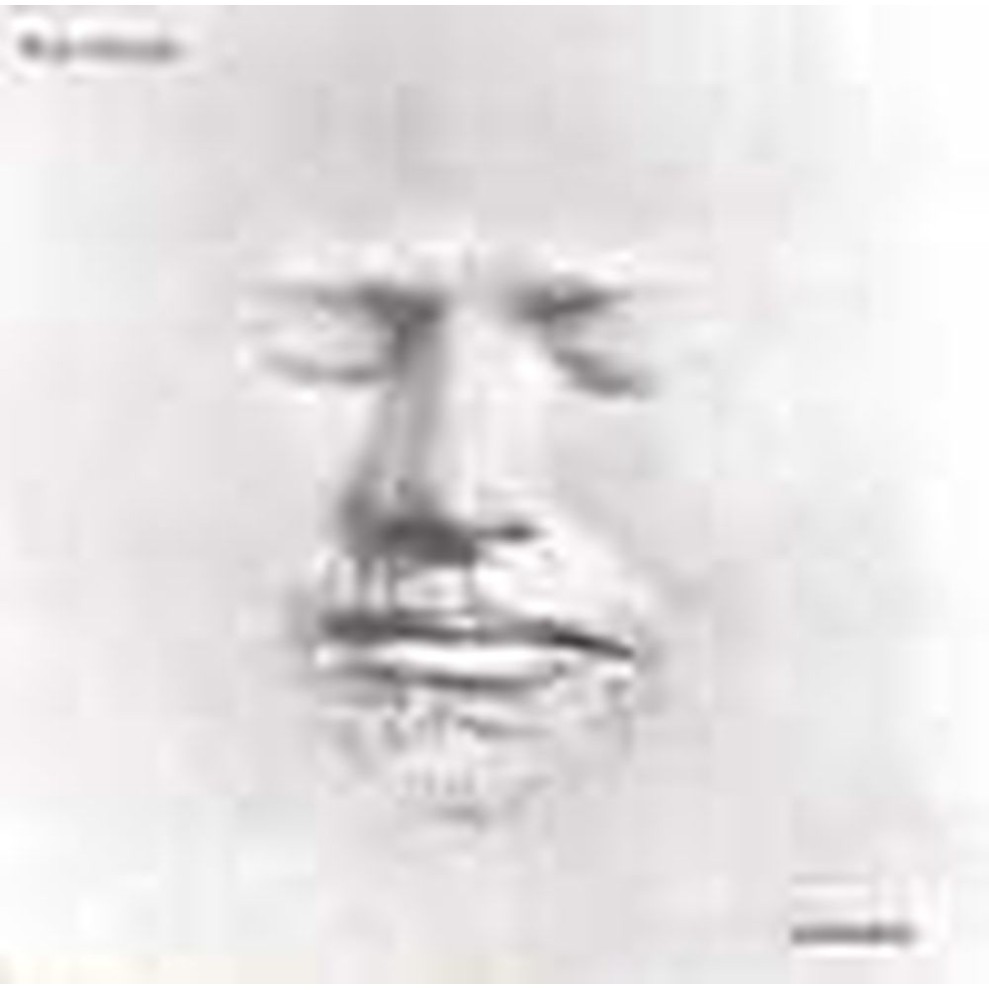 lifemask