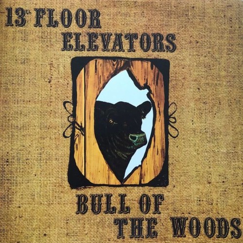 bull of the woods