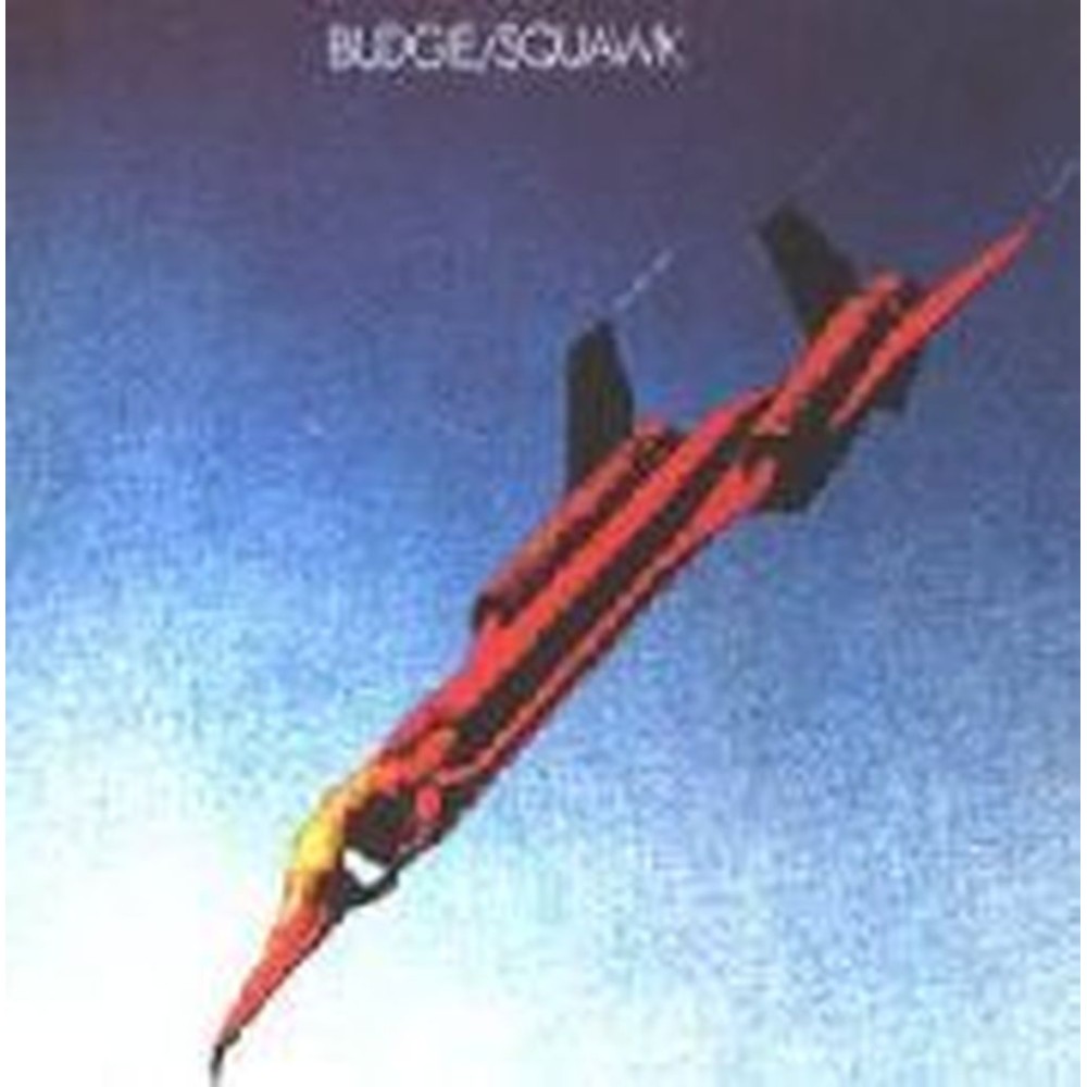 squawk