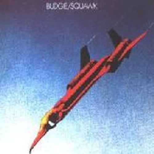 squawk