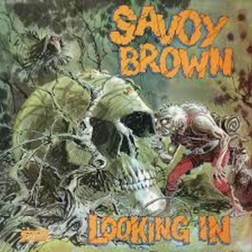 looking in