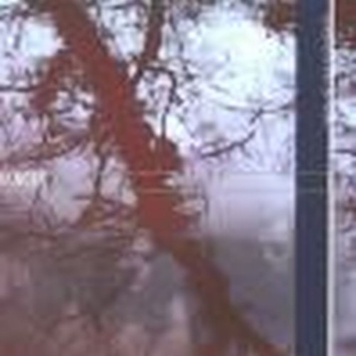 tales of the river bank