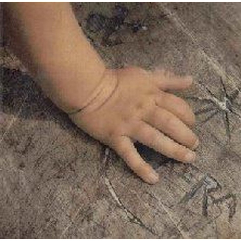 hand und fuss