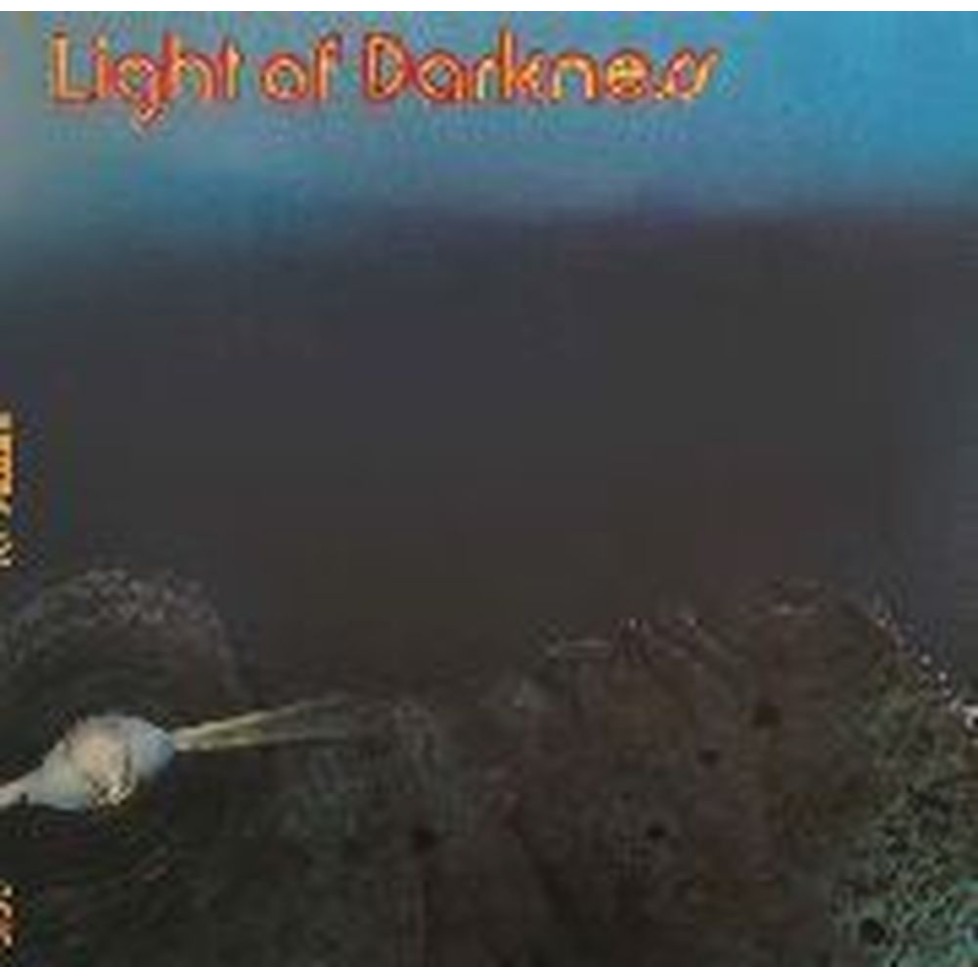 light of darkness
