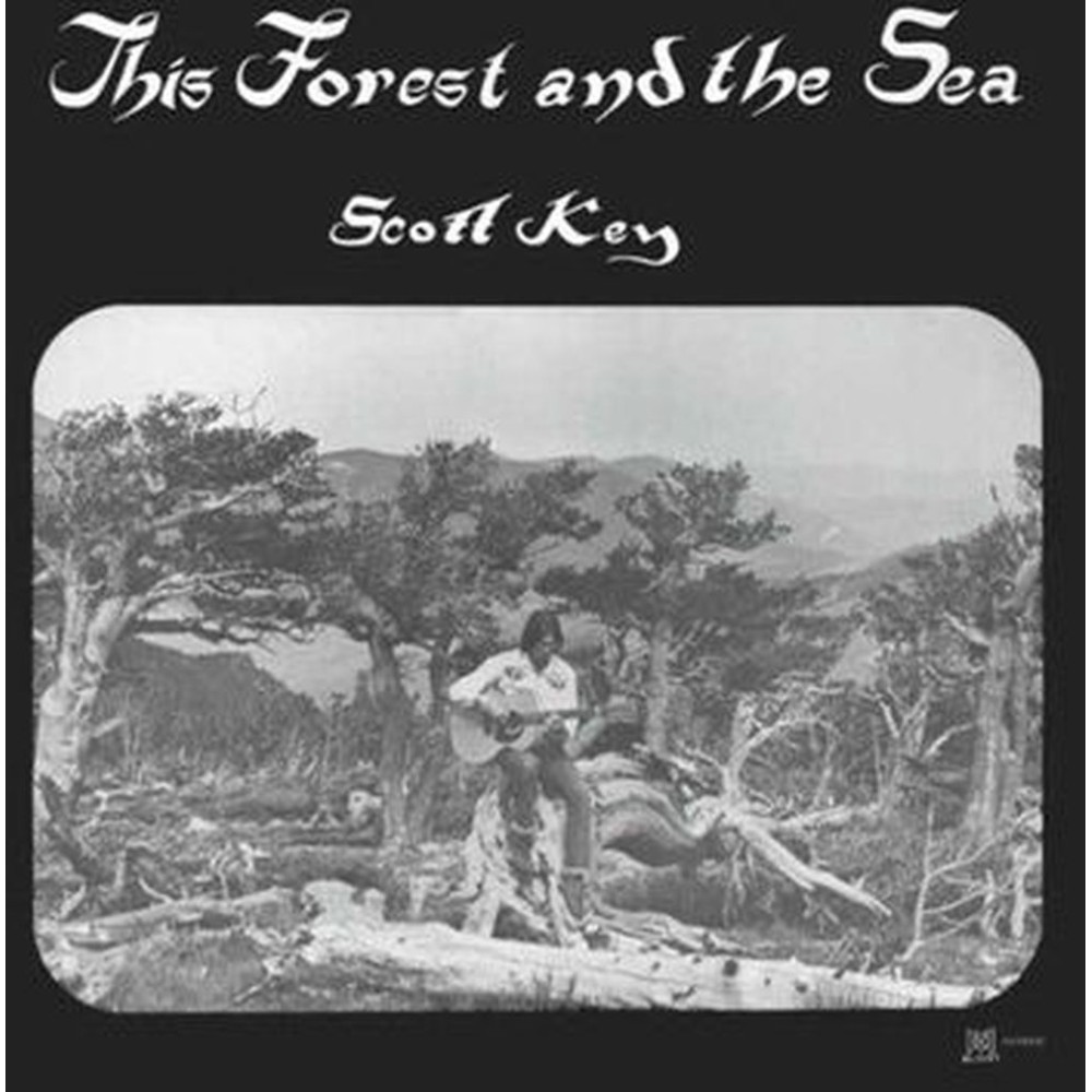 this forest and the sea