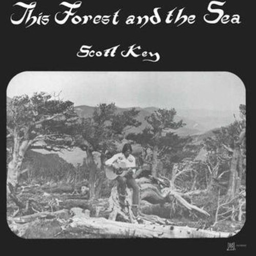 this forest and the sea