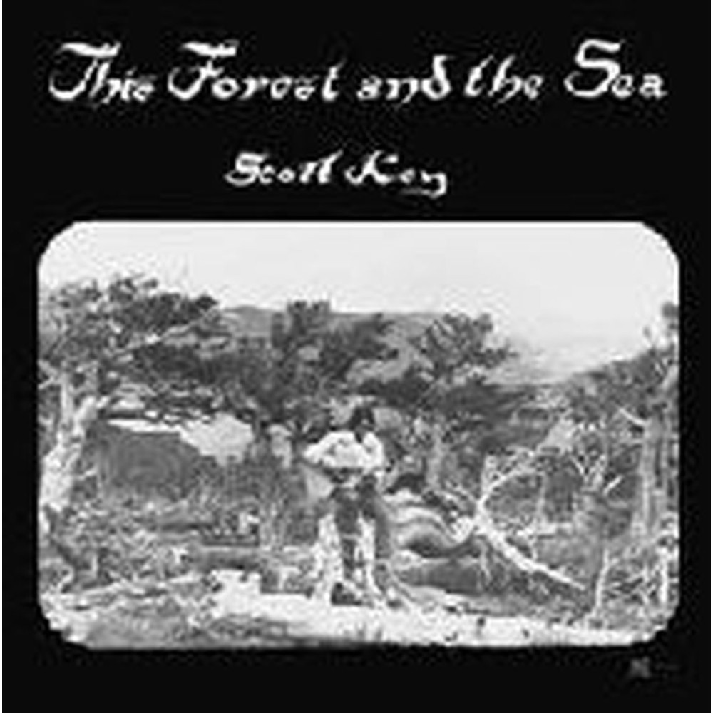 this forest and the sea