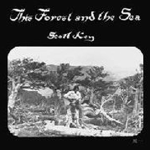 this forest and the sea