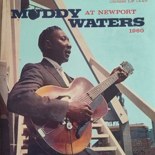 muddy waters at newport