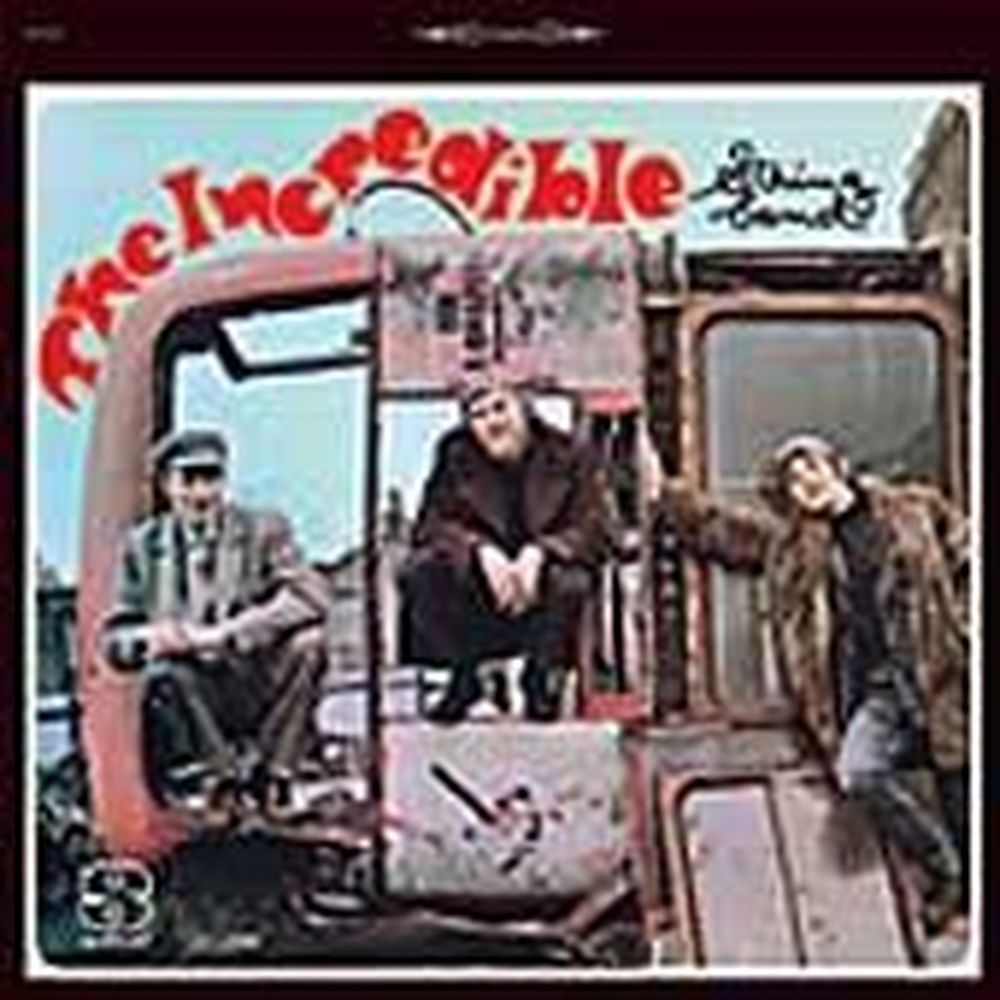 incredible string band
