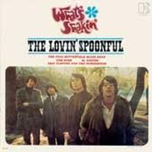 various artists: what's shakin'