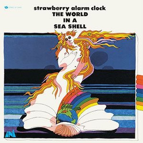 the world in a sea shell