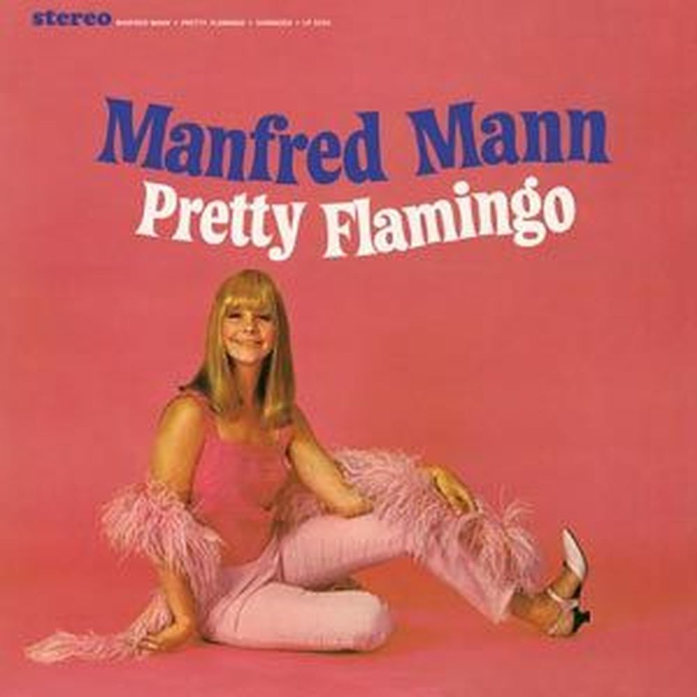 pretty flamingo