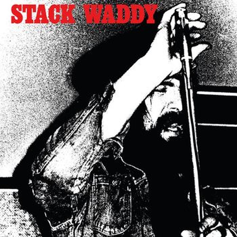 stack waddy (white vinyl)