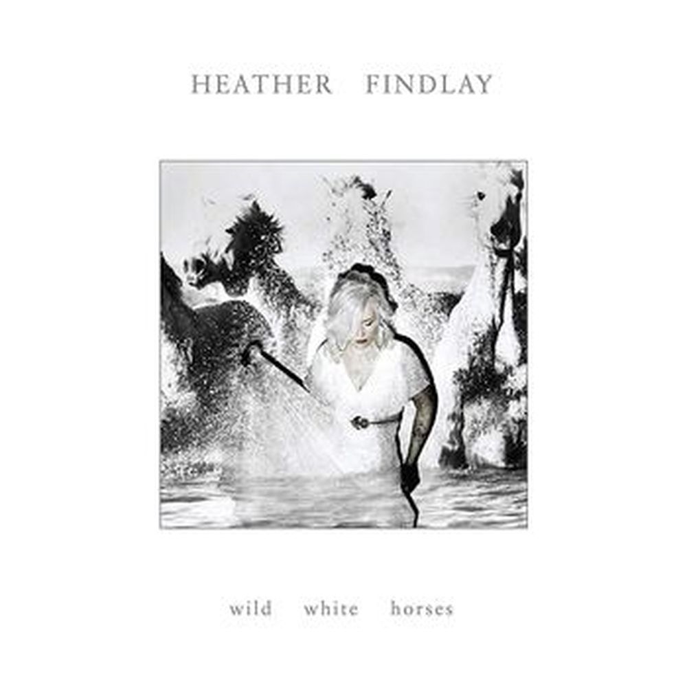wild white horses