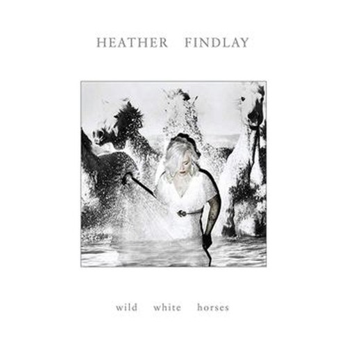 wild white horses