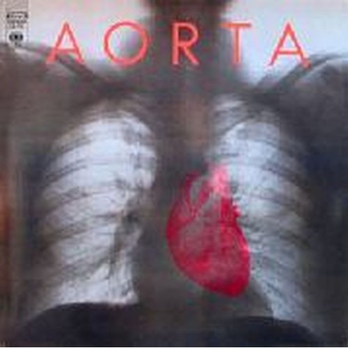 aorta