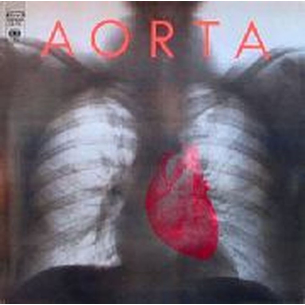 aorta