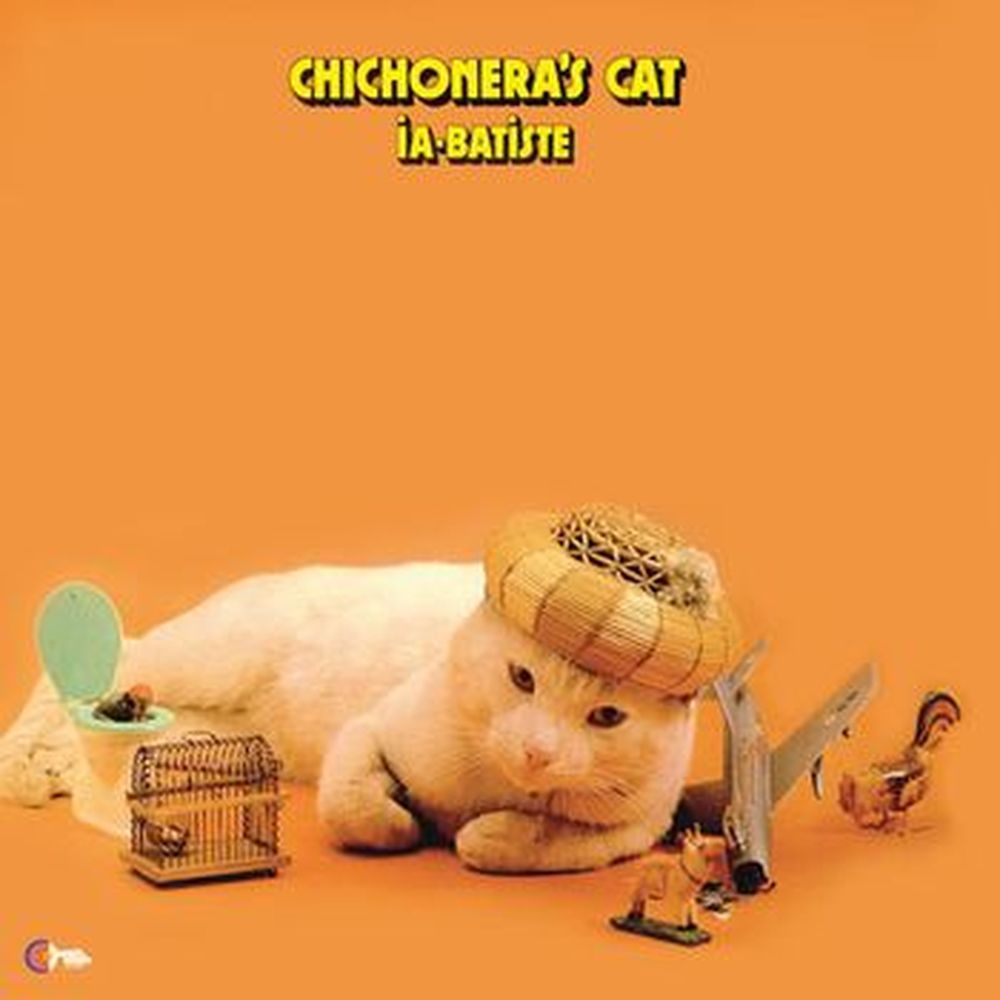 chichonera's cat