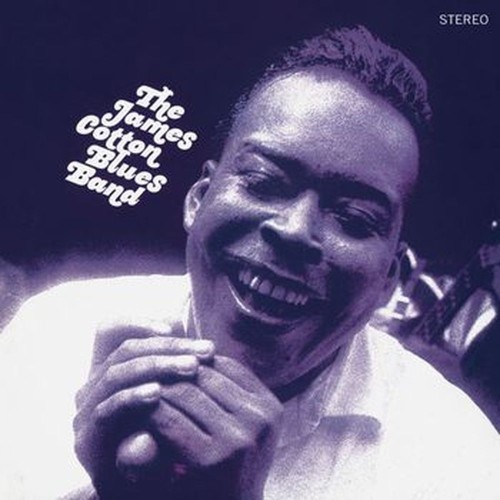 james cotton blues band