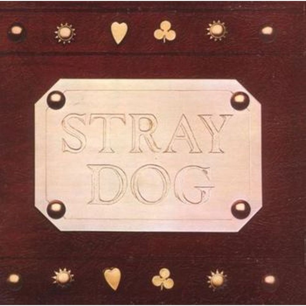 stray dog