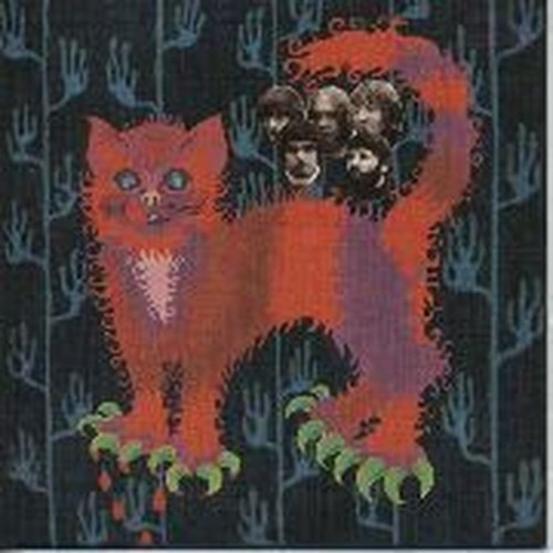pussy plays & fortes mentum