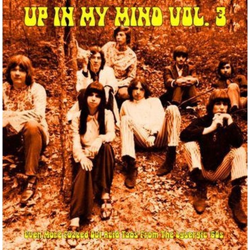 up in my mind vol.3: even more fuzzed out acid tabs From the lysergic 60s