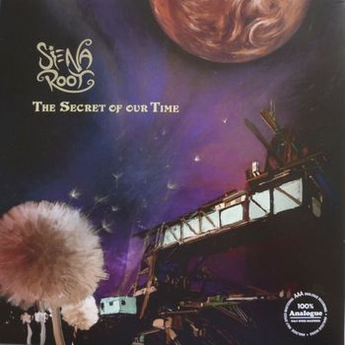 the secret of our time (gatefold sleeve)