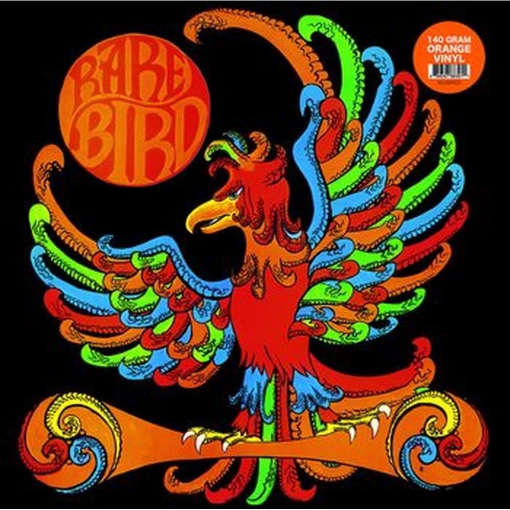 rare bird