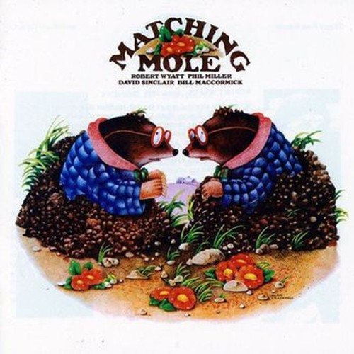 matching mole (coloured)
