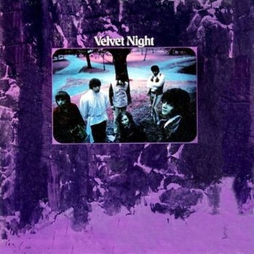 velvet night (violet vinyl)