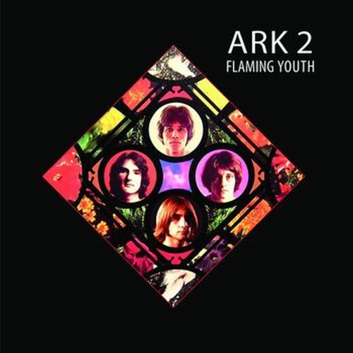 ark 2 (white)