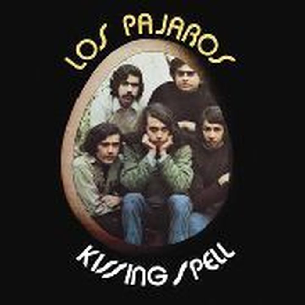 los pajaros