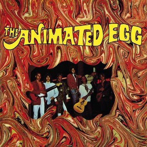 animated egg