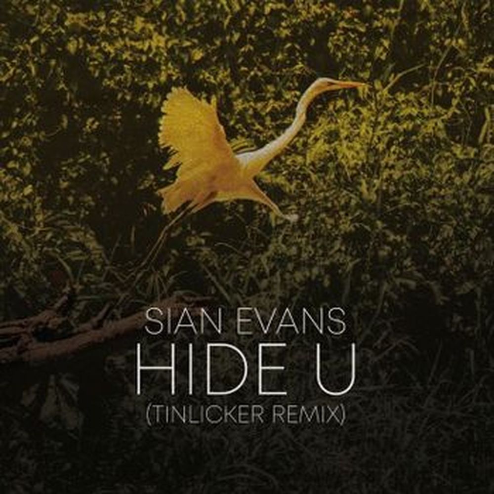 hide u (tinlicker remix) / because you move me