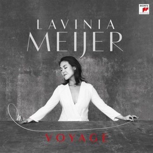 voyage (record store day 2015 exclusive, limited)