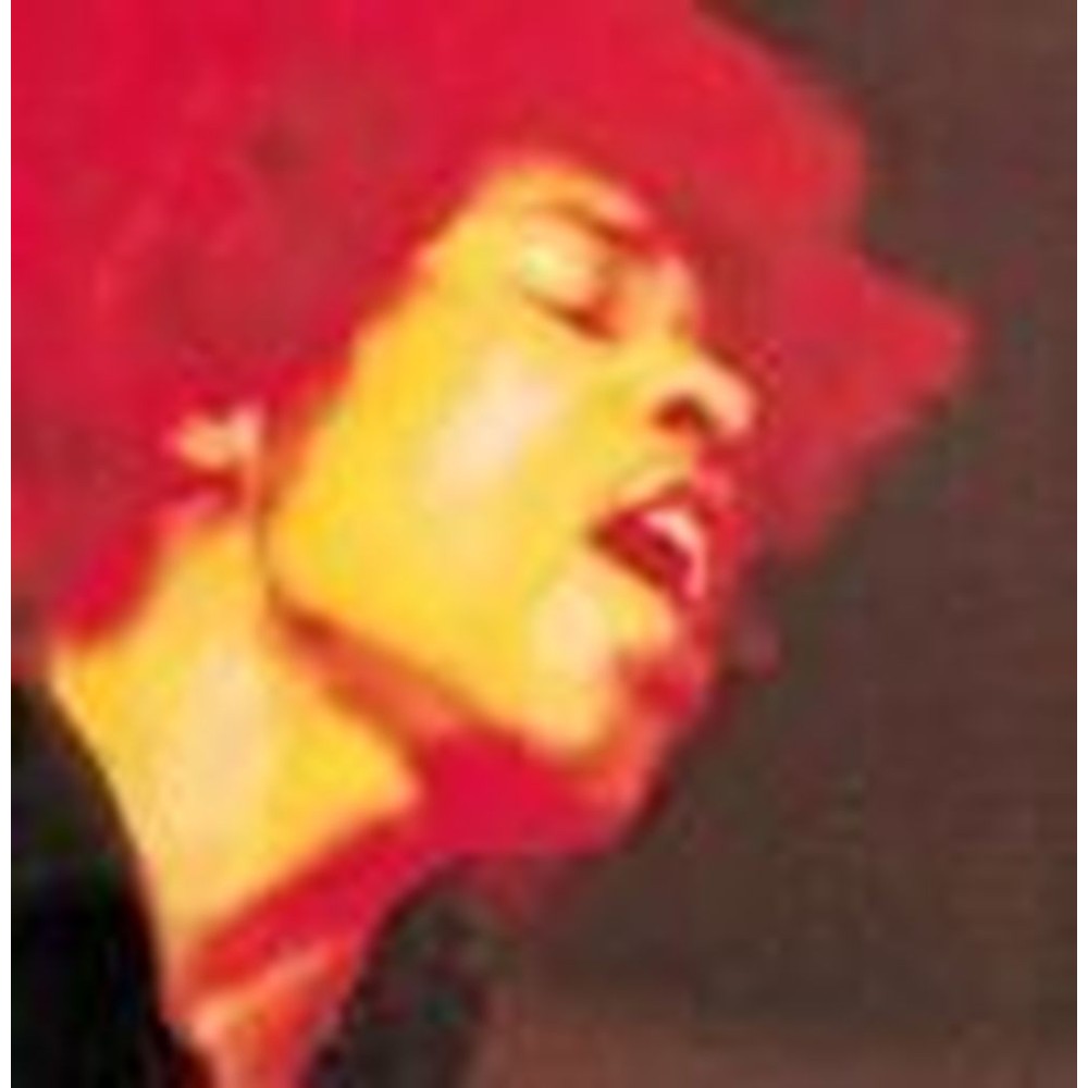 electric ladyland
