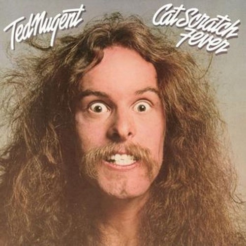 cat scratch fever