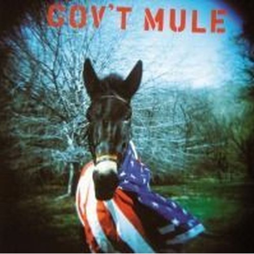 gov't mule