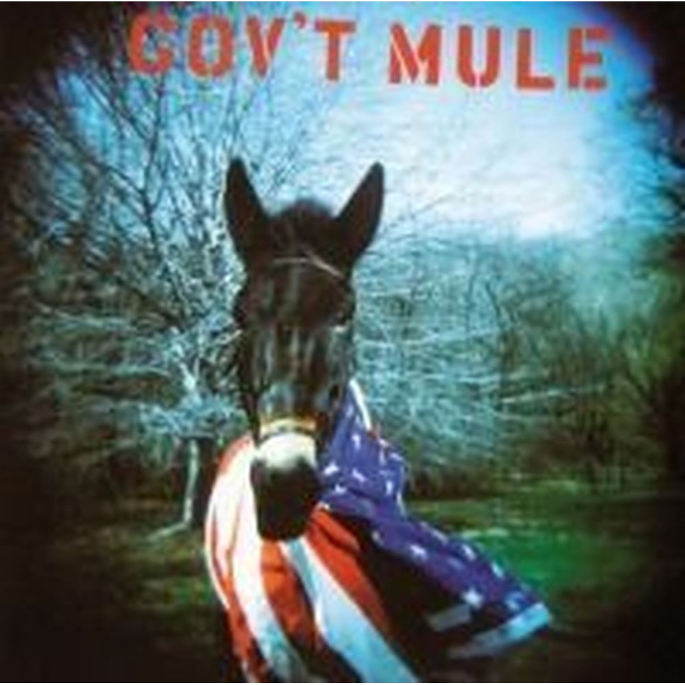 gov't mule